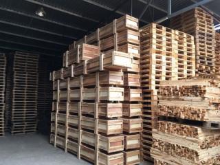 Giá pallet gỗ xuất khẩu chính xác là bao nhiêu?